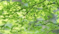 春天来了，这三个穴位有空可以多按按