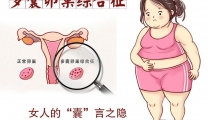 女性月经不调、肥胖、痤疮、不孕，多提示多囊卵巢综合征！