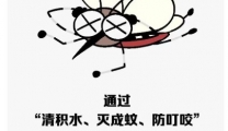 雨后24小时防蚊灭蚊，这几件事马上照做！