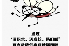 雨后24小时防蚊灭蚊，这几件事马上照做！