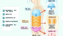 产后恢复，中医有“方”——聊聊推拿与呼吸的配合